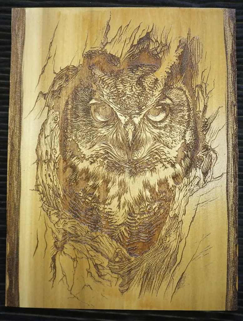 DSCF5463.webp