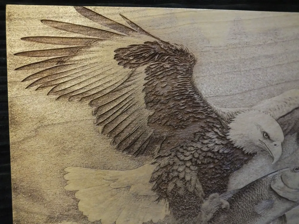 DSCF5437.webp