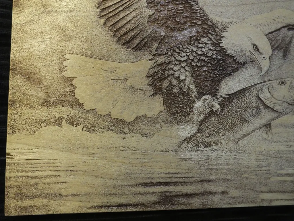 DSCF5436.webp