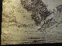 DSCF5436.webp