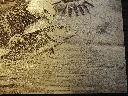 DSCF5435.webp