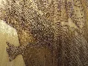 DSCF5471-5.webp