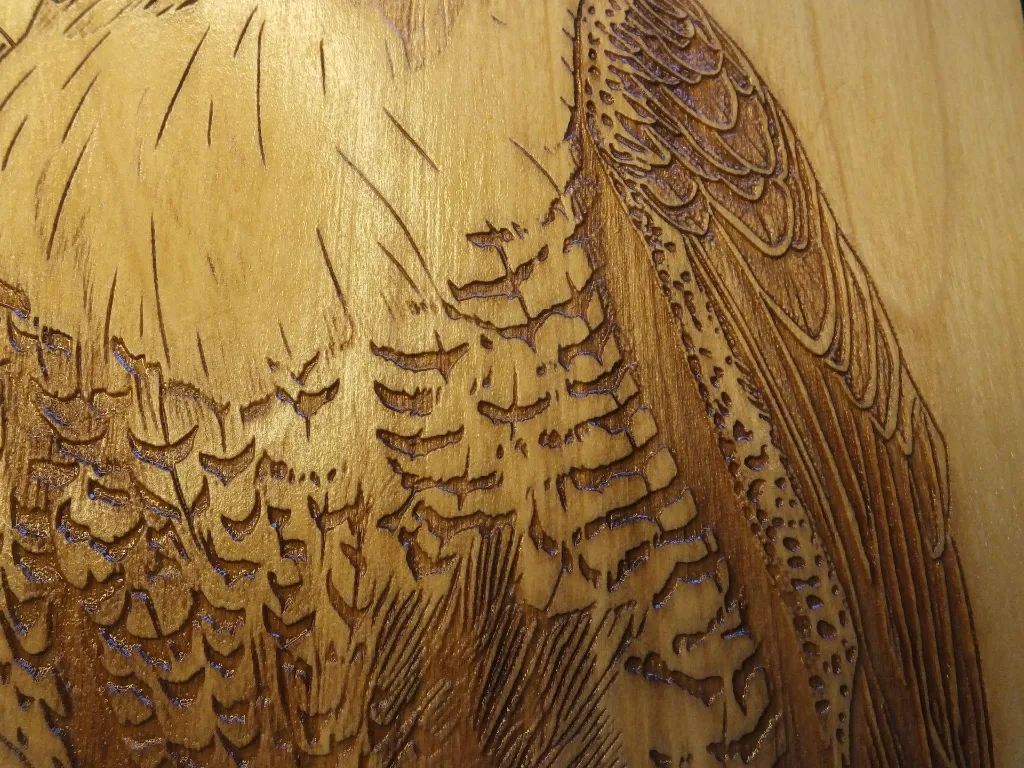 DSCF5471-3.webp