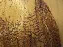DSCF5471-3.webp