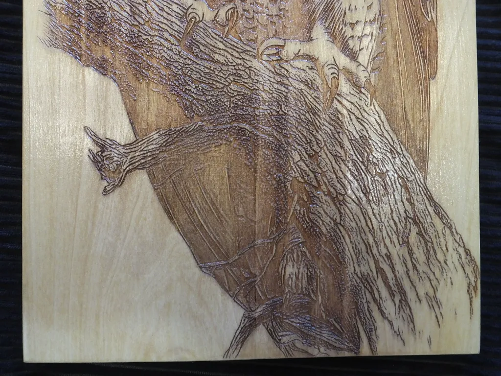 DSCF5471.webp