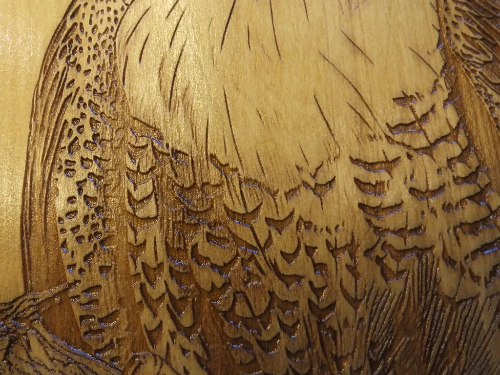DSCF5471-2.webp