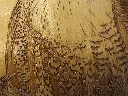 DSCF5471-2.webp