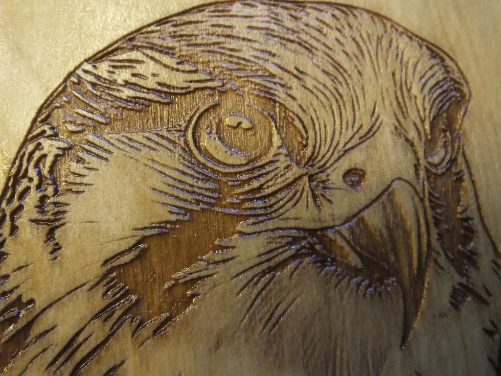 DSCF5471-1.webp