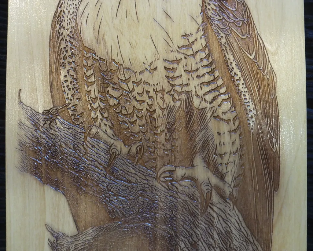DSCF5470.webp