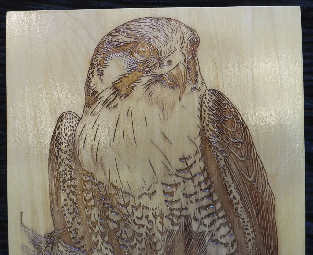 DSCF5469.webp