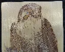 DSCF5469.webp