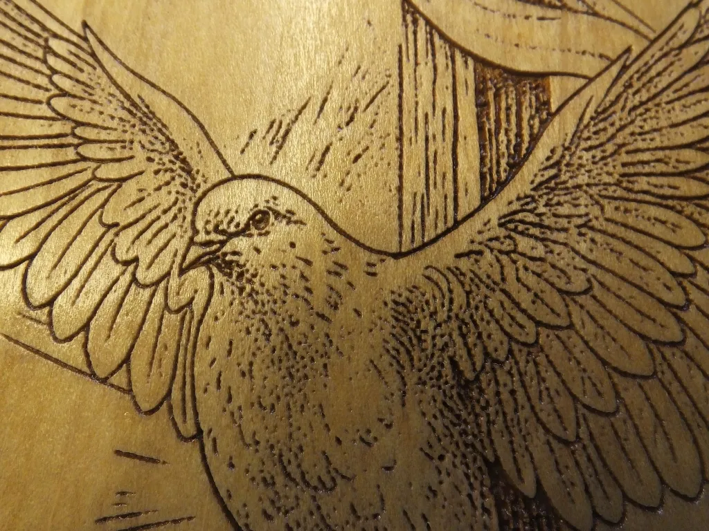 DSCF5476-4.webp