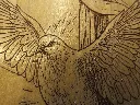 DSCF5476-4.webp