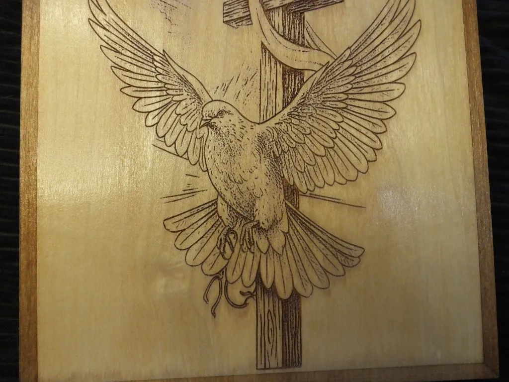 DSCF5478.webp