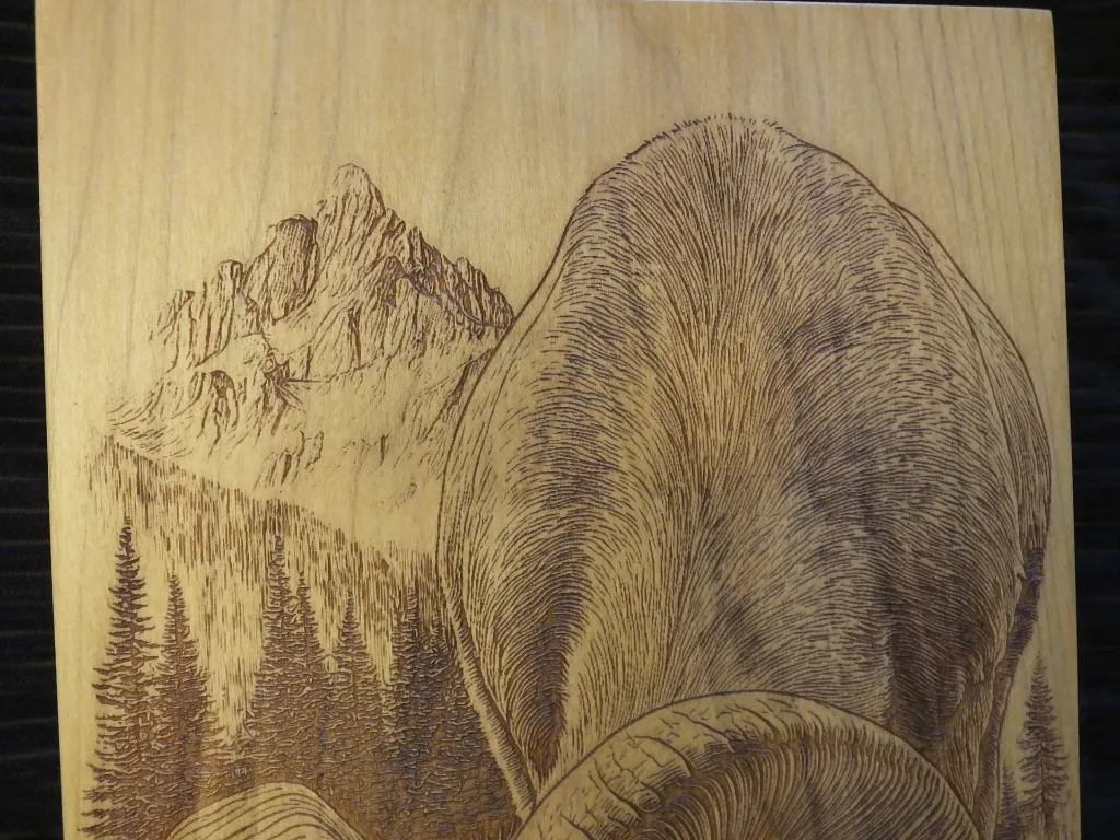 DSCF5484.webp