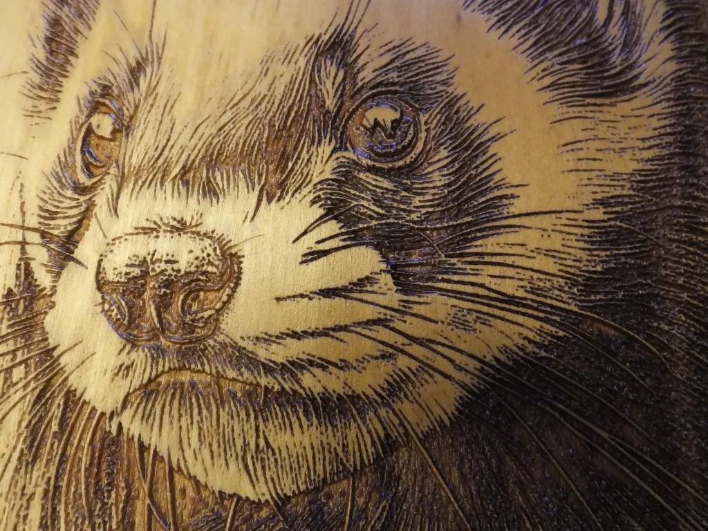 DSCF5489-1.webp