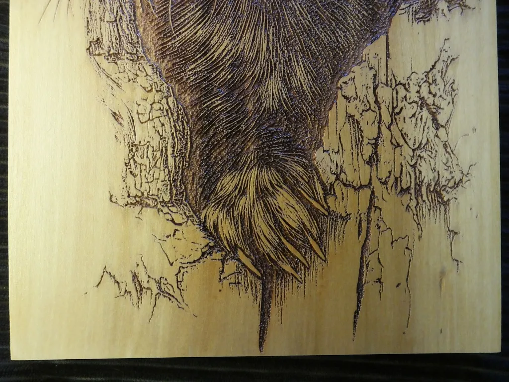 DSCF5491.webp