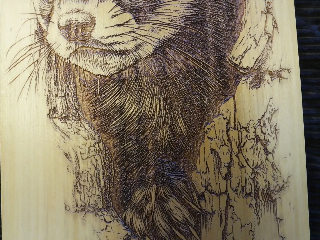 DSCF5490.webp
