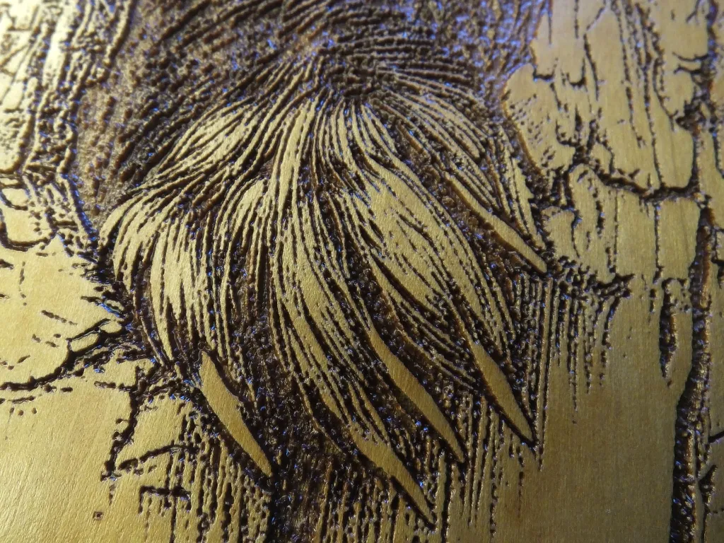 DSCF5489-2.webp