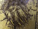 DSCF5489-2.webp