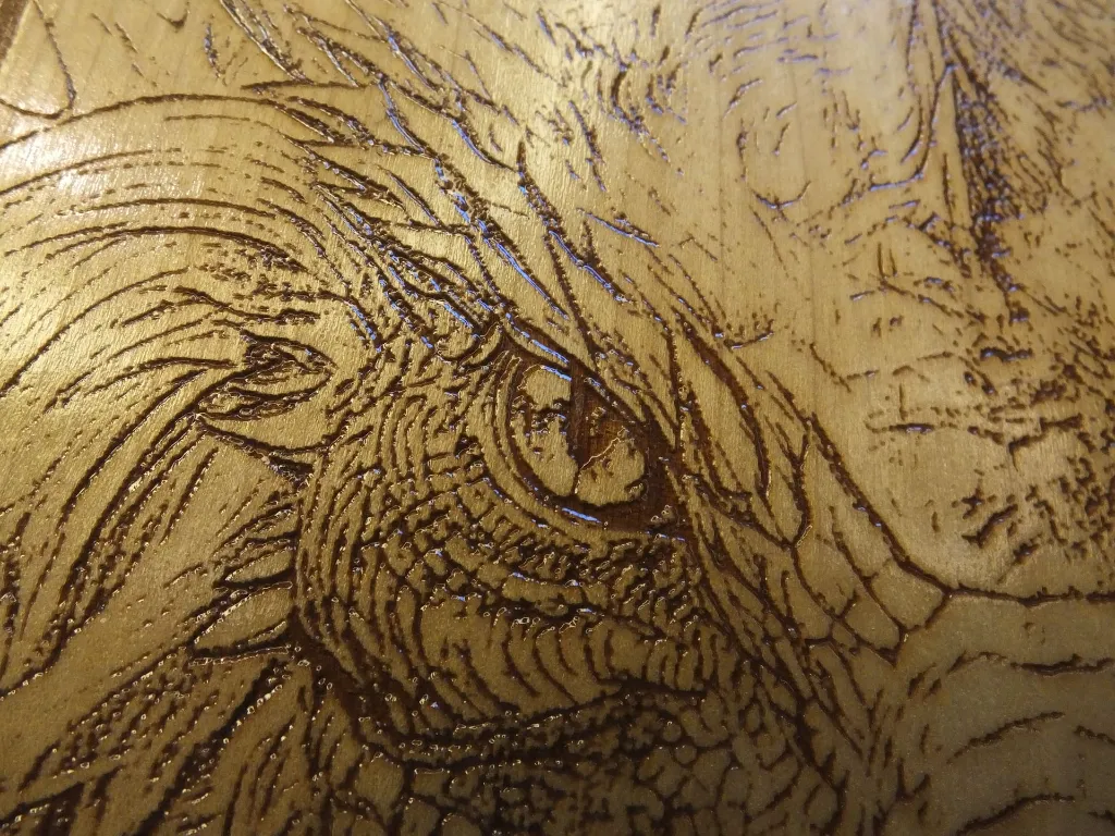 DSCF5496-2.webp