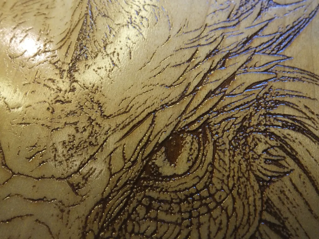 DSCF5496-1.webp