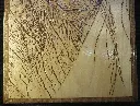 DSCF5497.webp