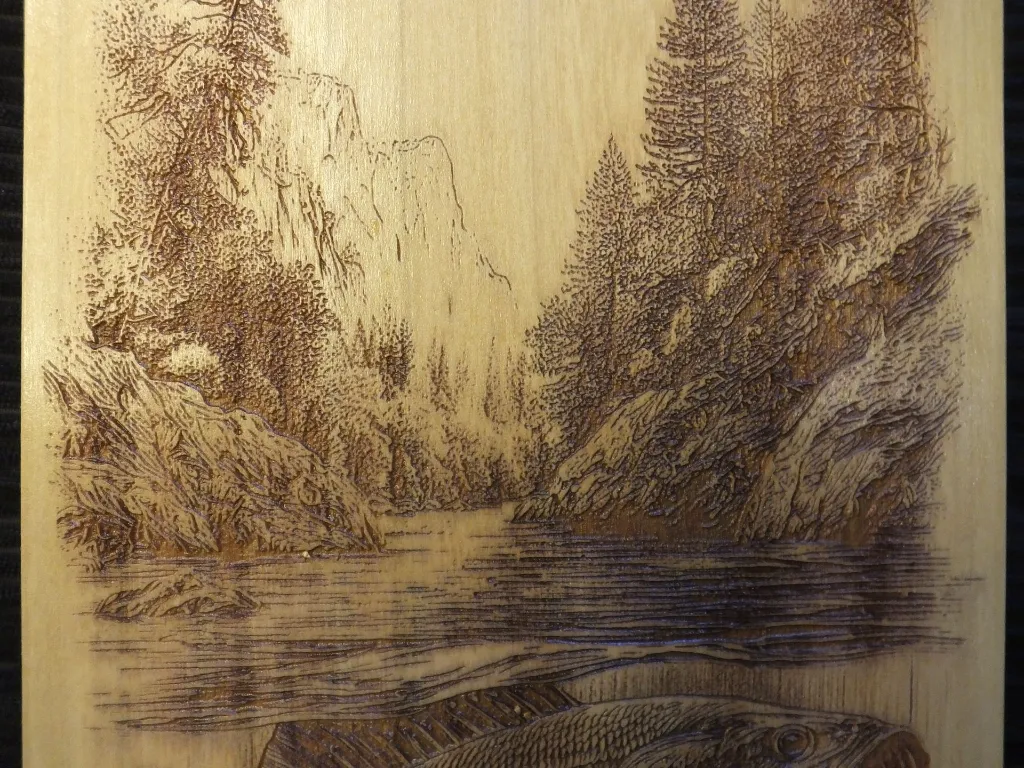 DSCF5503.webp