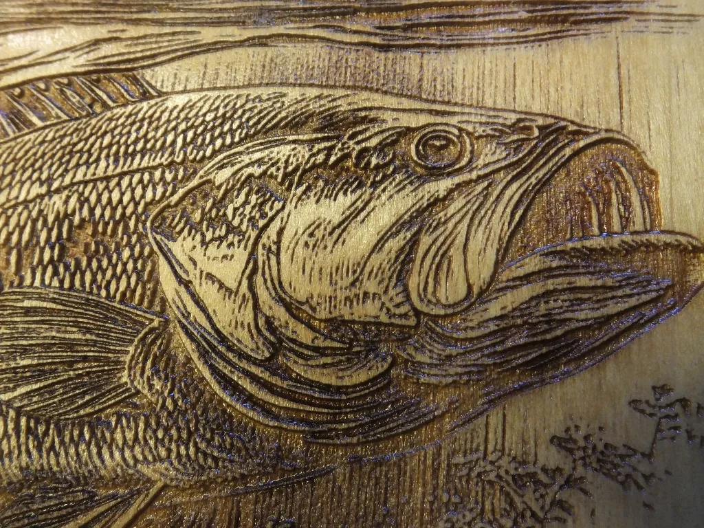 DSCF5502-1.webp