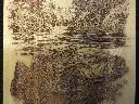 DSCF5502.webp