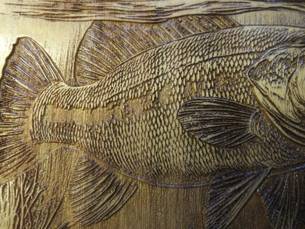 DSCF5502-2.webp