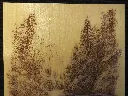 DSCF5504.webp