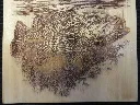 DSCF5501.webp