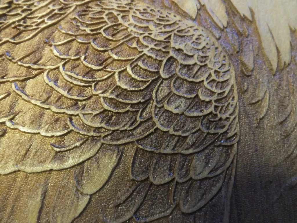 DSCF5510-2.webp
