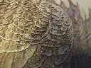 DSCF5510-2.webp