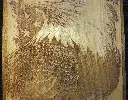 DSCF5509.webp