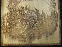 DSCF5510.webp