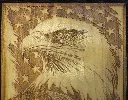 DSCF5508.webp