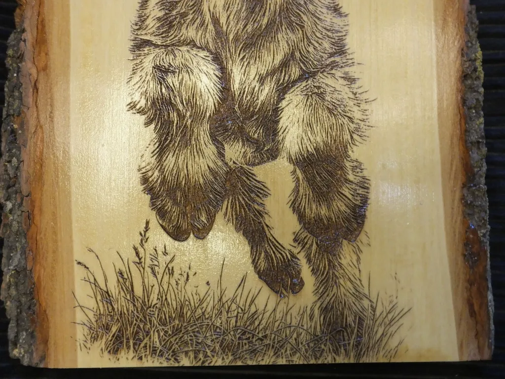 DSCF5522.webp