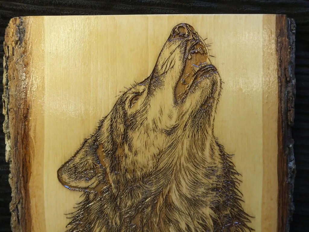 DSCF5527.webp