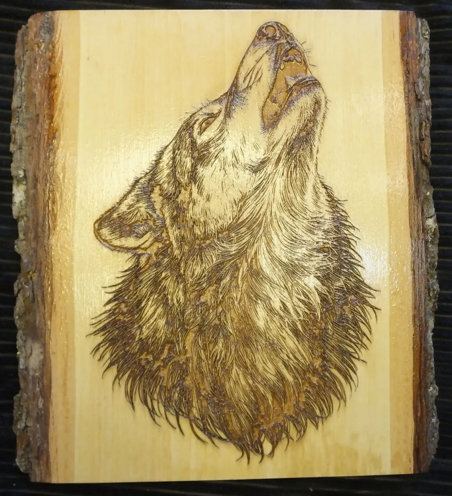 DSCF5529.webp