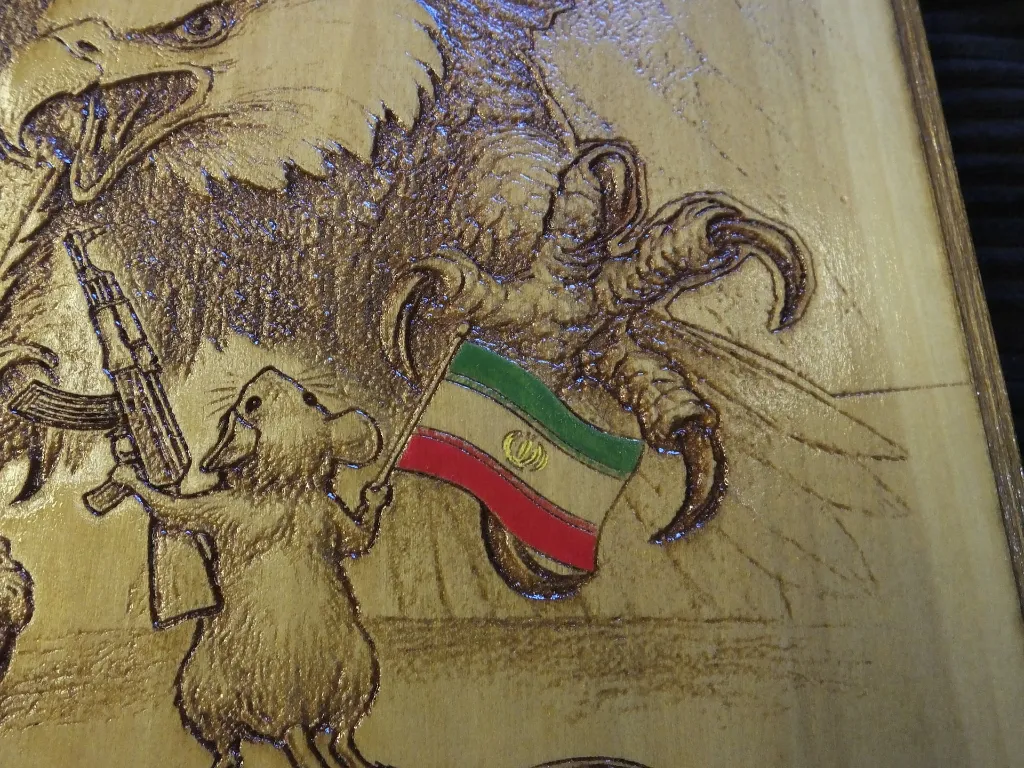 DSCF5537.webp