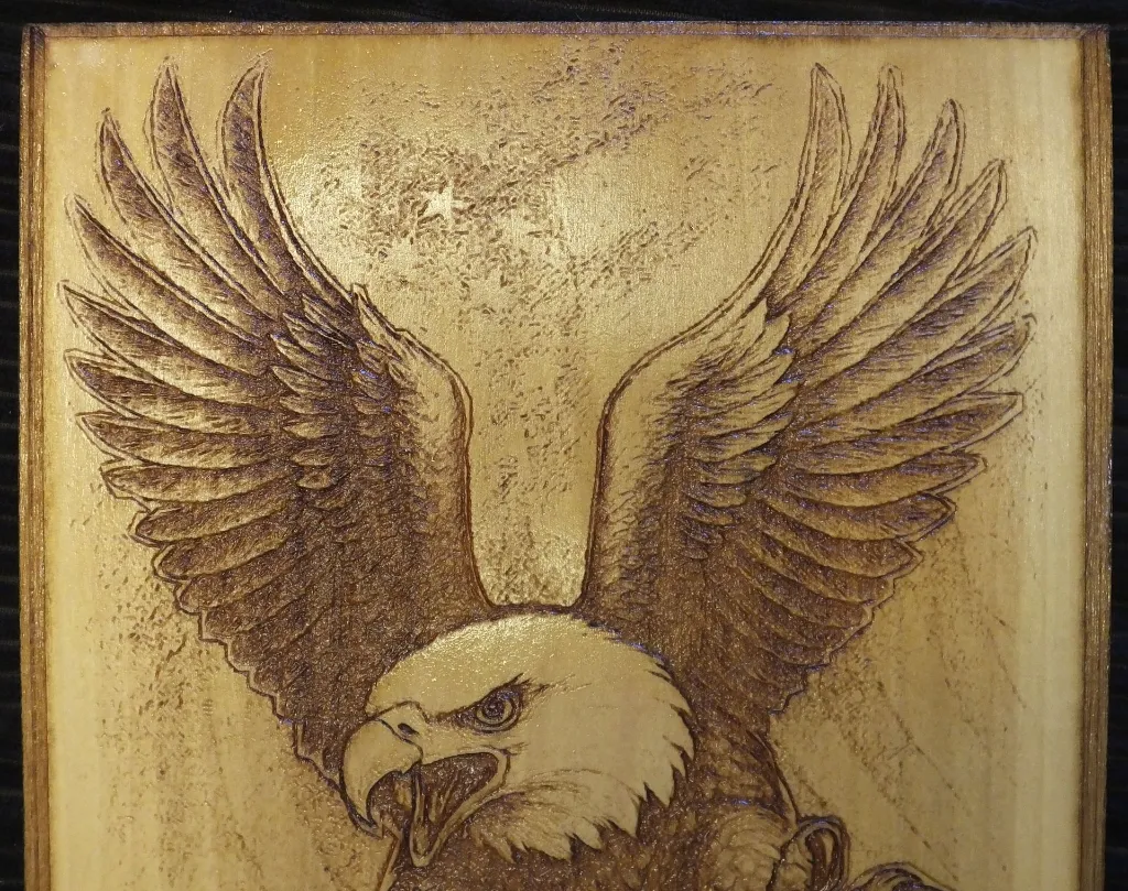 DSCF5532.webp