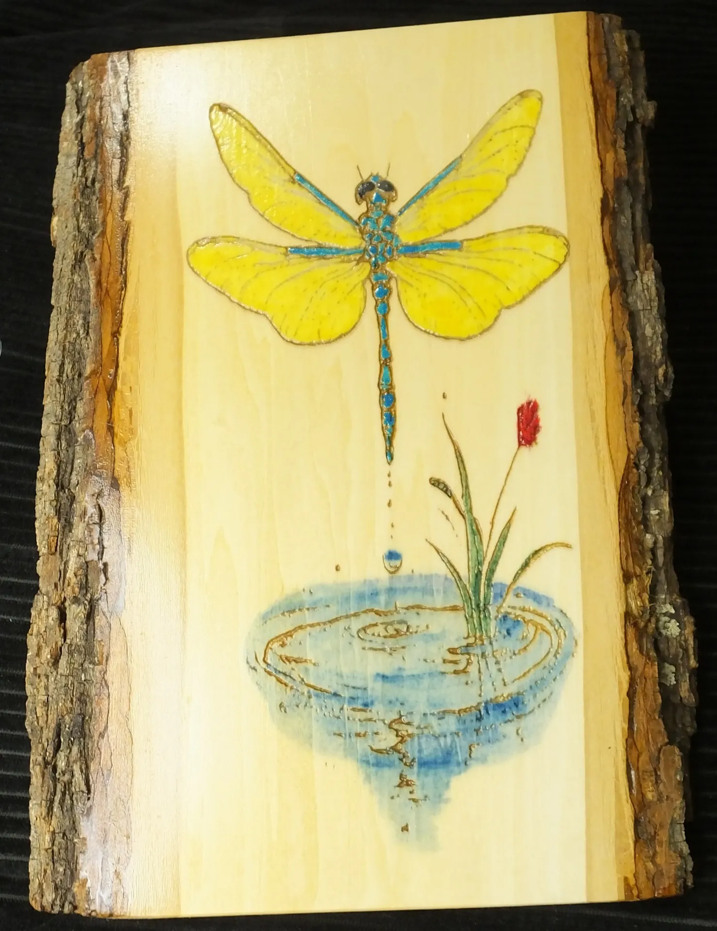 Painted Dragonfly Engraving on Live Edge Basswood