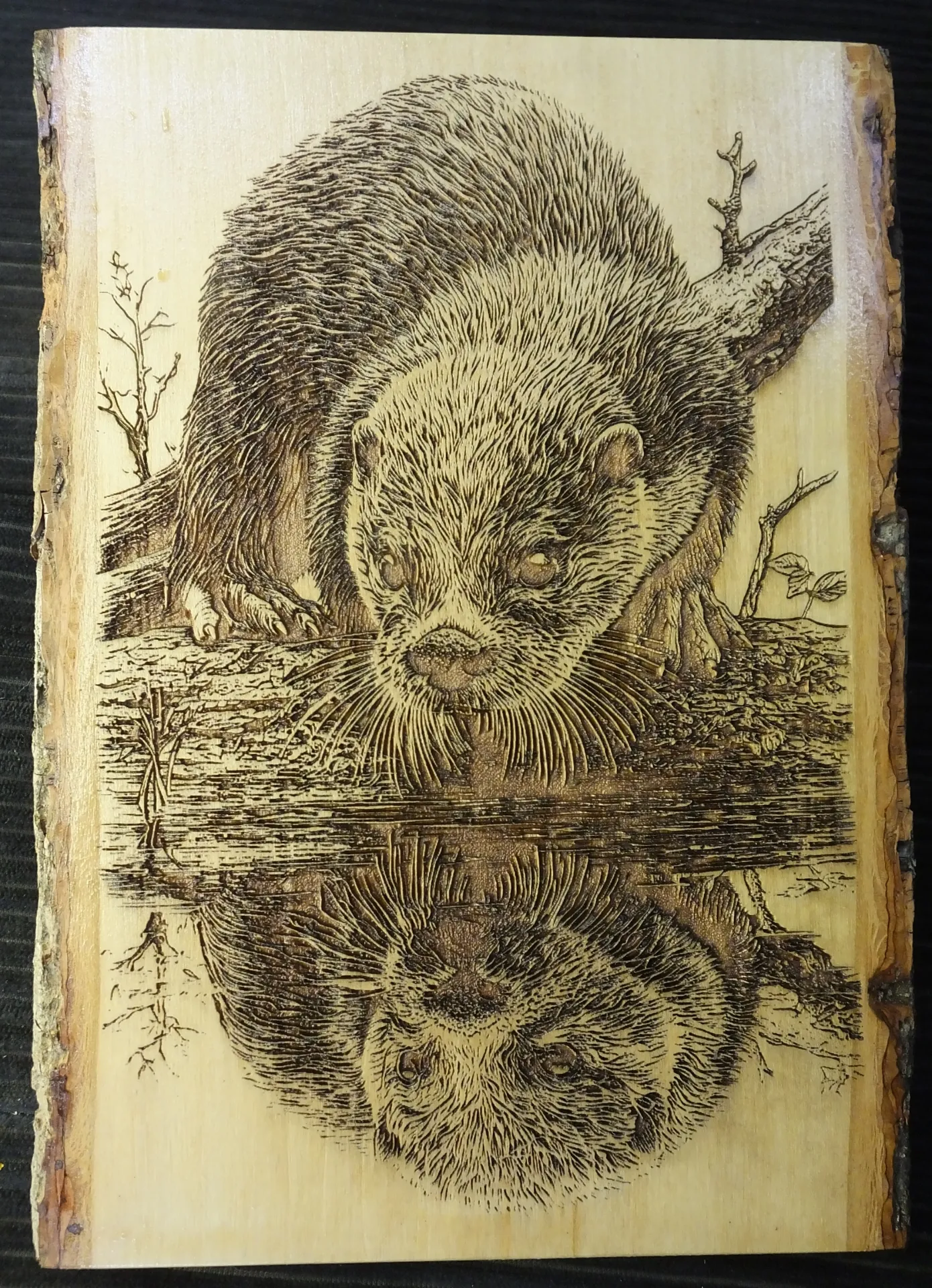 River Otter Reflection