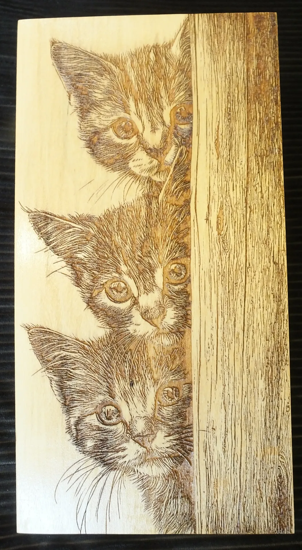Three Little Kittens