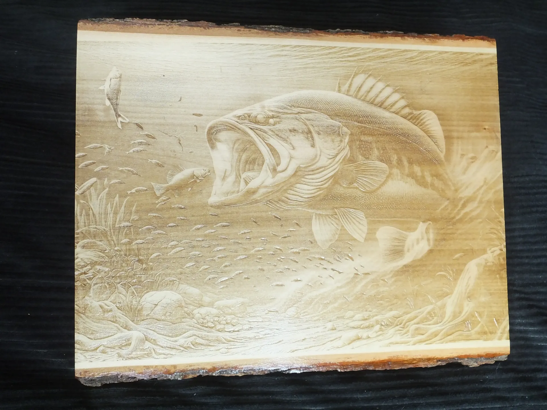 Largemouth Bass Feeding