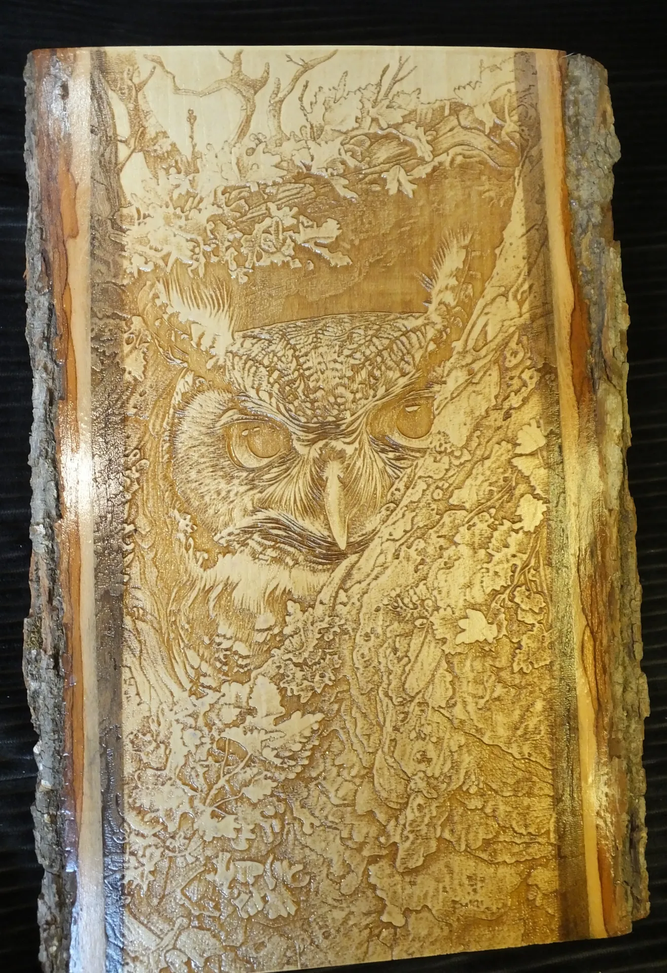 Owl in a Tree II