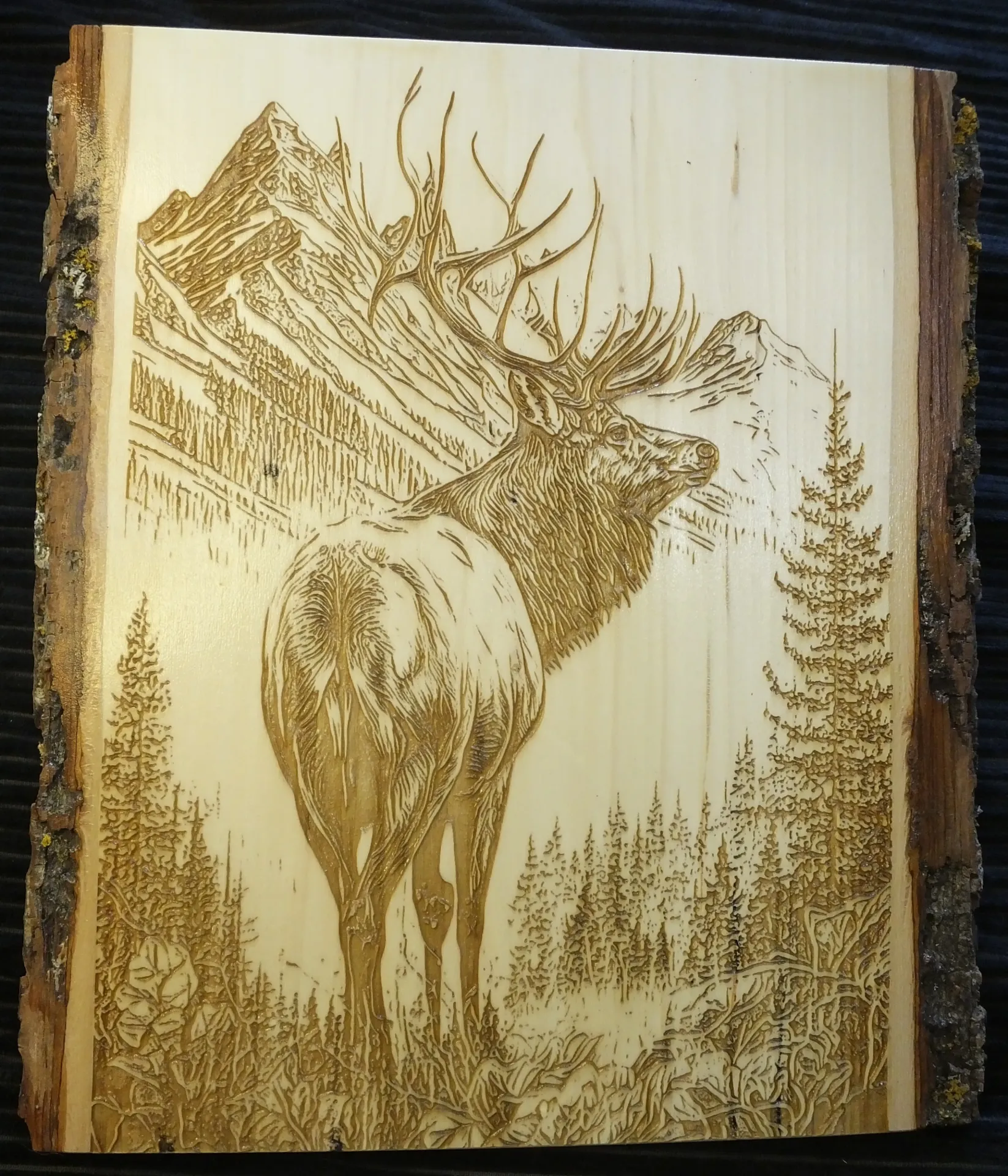 Elk in the Mountains