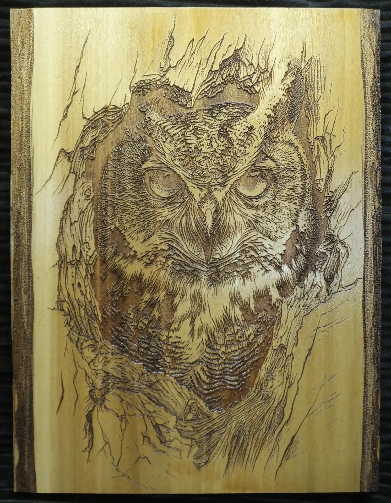 Owl in a Tree III